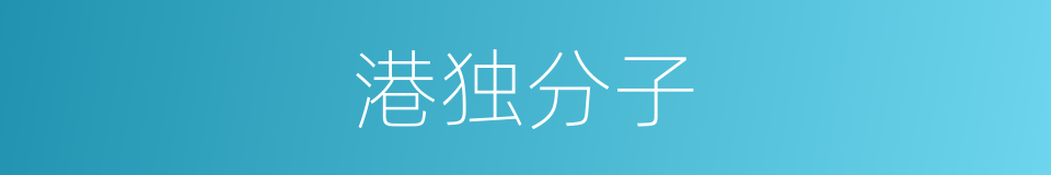 港独分子的意思