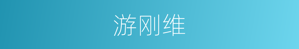 游刚维的同义词