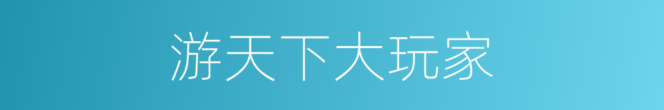 游天下大玩家的同义词