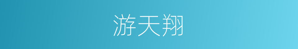 游天翔的同义词
