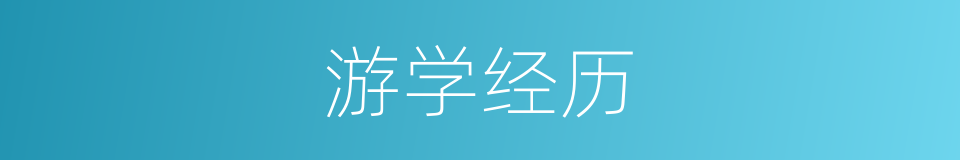 游学经历的同义词