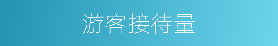 游客接待量的同义词