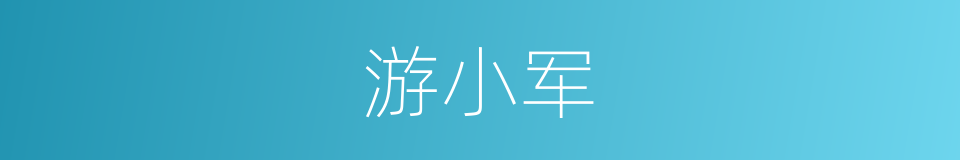 游小军的同义词