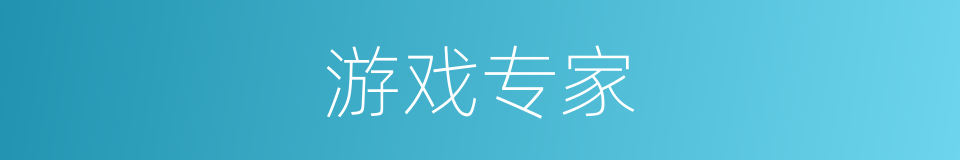 游戏专家的同义词