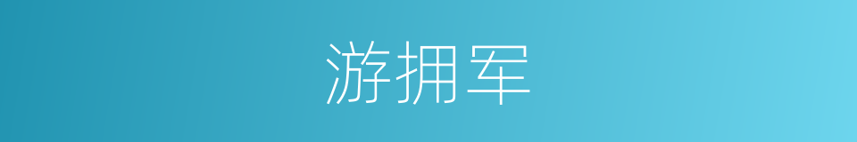 游拥军的同义词