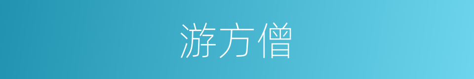 游方僧的同义词