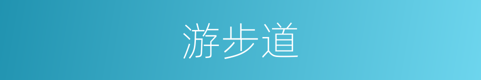 游步道的同义词