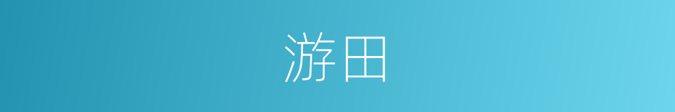 游田的意思