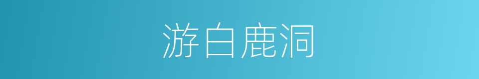 游白鹿洞的同义词