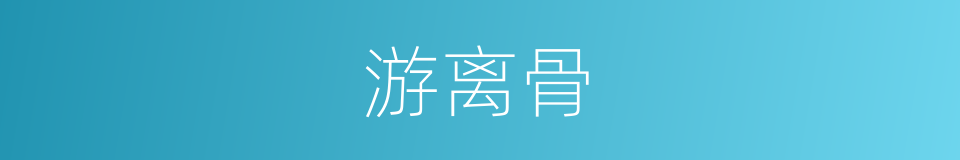 游离骨的同义词