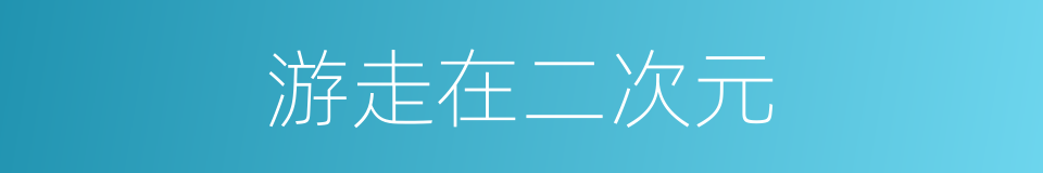游走在二次元的同义词