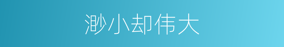 渺小却伟大的同义词
