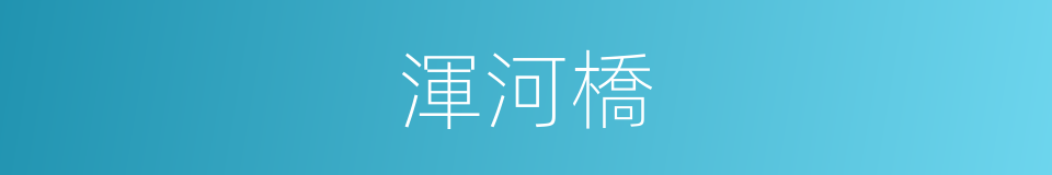 渾河橋的同義詞