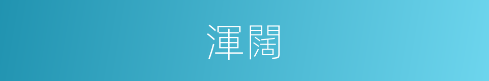 渾闊的同義詞