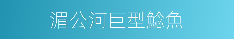湄公河巨型鯰魚的同義詞