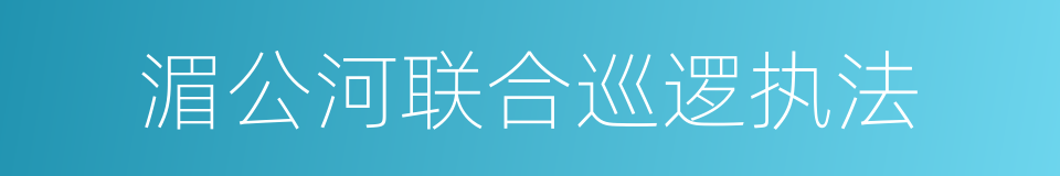 湄公河联合巡逻执法的意思