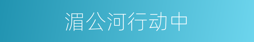 湄公河行动中的同义词