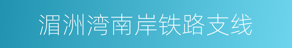 湄洲湾南岸铁路支线的同义词