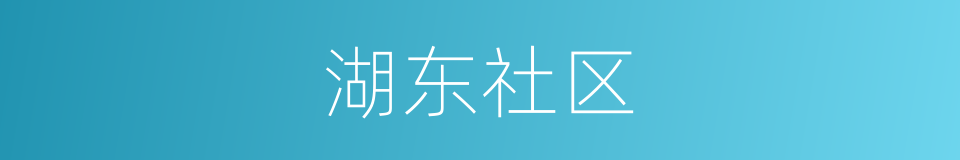 湖东社区的同义词