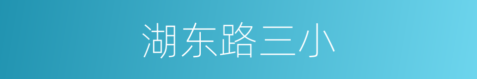 湖东路三小的同义词
