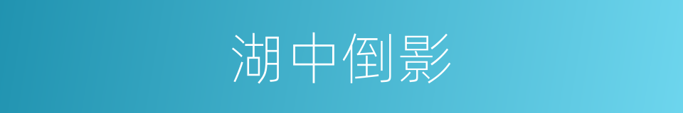湖中倒影的同义词