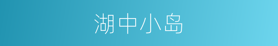湖中小岛的同义词