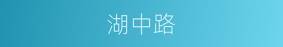 湖中路的同义词