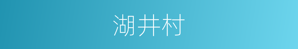 湖井村的同义词