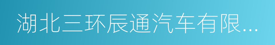 湖北三环辰通汽车有限公司的同义词