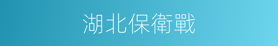 湖北保衛戰的同義詞