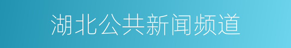 湖北公共新闻频道的同义词