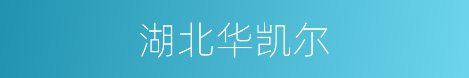 湖北华凯尔的同义词