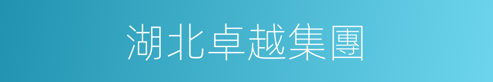 湖北卓越集團的同義詞