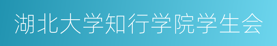 湖北大学知行学院学生会的同义词