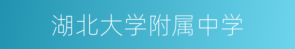 湖北大学附属中学的同义词