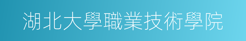 湖北大學職業技術學院的同義詞