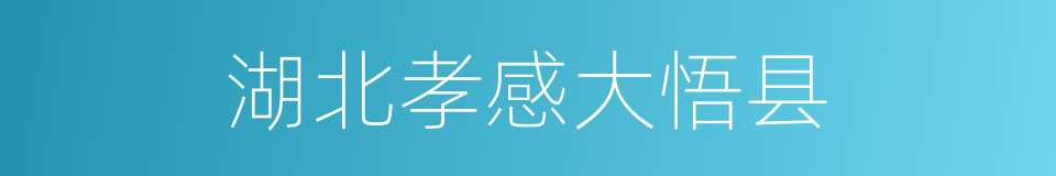 湖北孝感大悟县的同义词