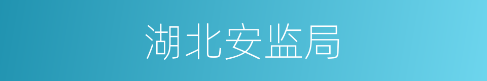 湖北安监局的同义词