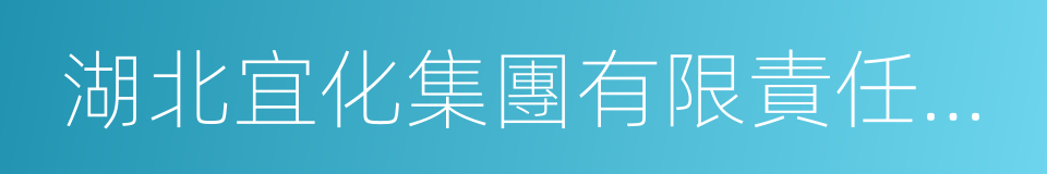 湖北宜化集團有限責任公司的同義詞