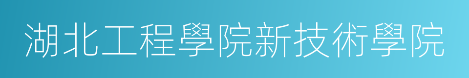 湖北工程學院新技術學院的同義詞