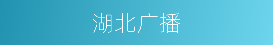湖北广播的意思