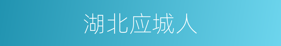 湖北应城人的同义词