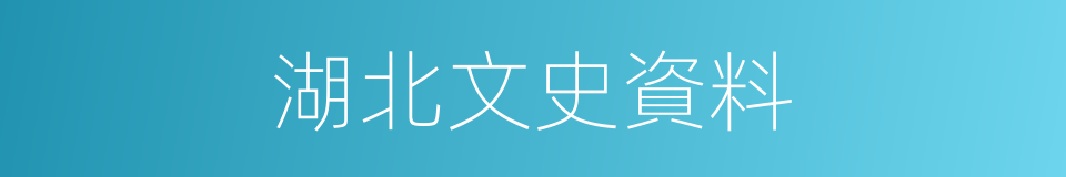 湖北文史資料的同義詞