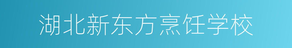 湖北新东方烹饪学校的同义词