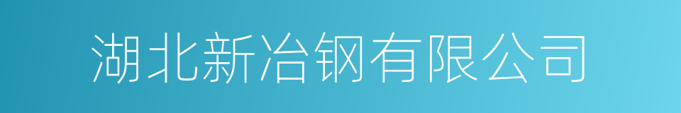 湖北新冶钢有限公司的同义词