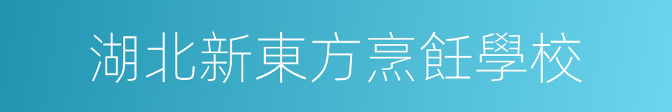 湖北新東方烹飪學校的同義詞