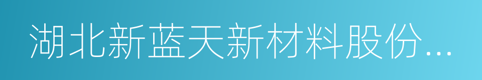 湖北新蓝天新材料股份有限公司的同义词