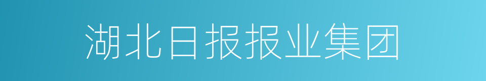 湖北日报报业集团的同义词