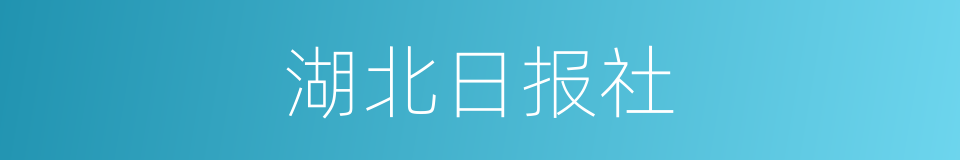 湖北日报社的同义词