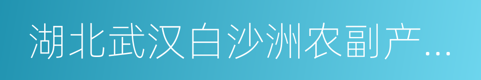 湖北武汉白沙洲农副产品大市场的同义词